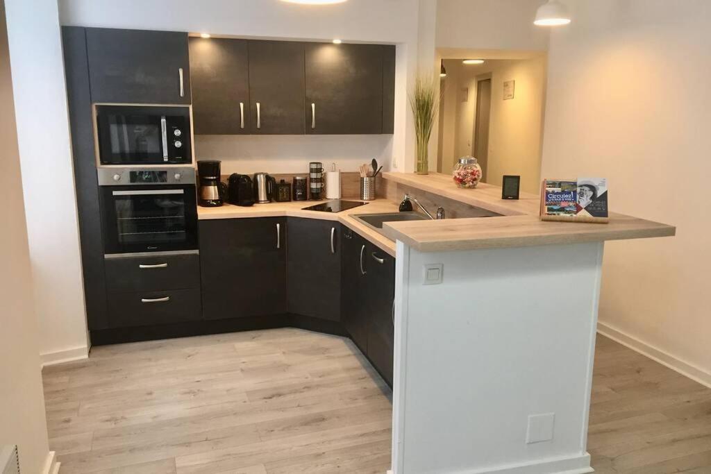 Le Montferrat - 65M2 - 2 Chambres - Rue De La Grotte - Hyper Centre Lourdes Zewnętrze zdjęcie
