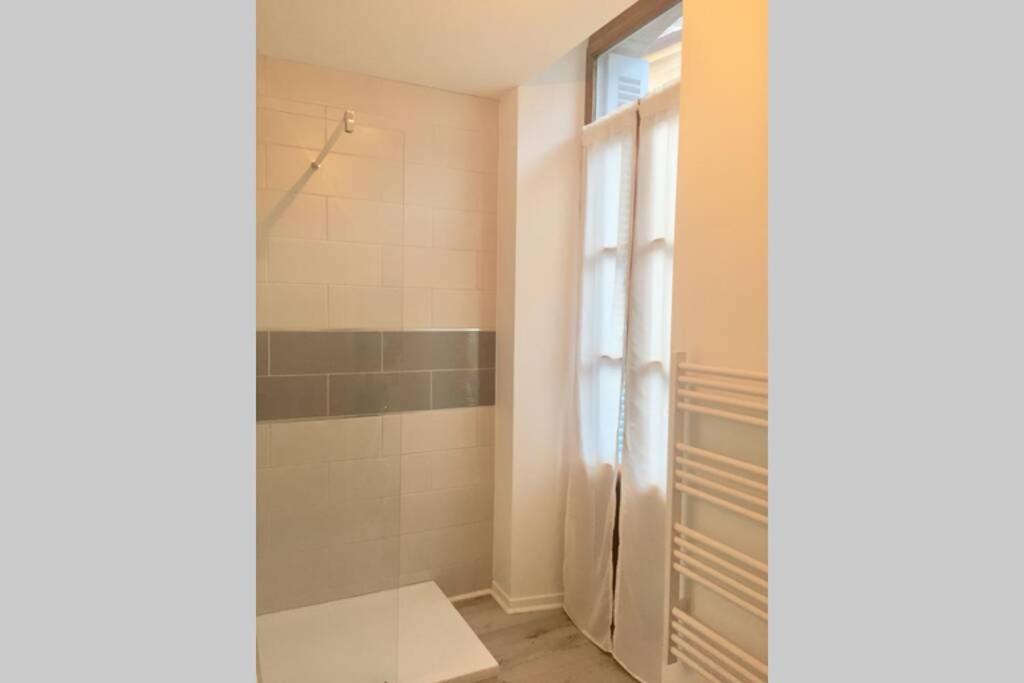 Le Montferrat - 65M2 - 2 Chambres - Rue De La Grotte - Hyper Centre Lourdes Zewnętrze zdjęcie